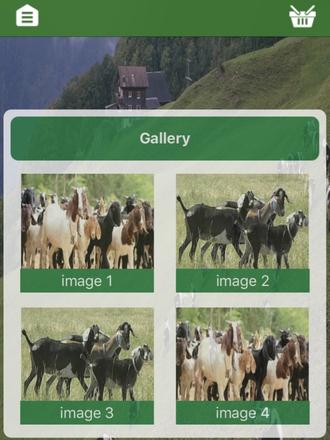 Al Faisal Livestock Delivery App – Jeddah