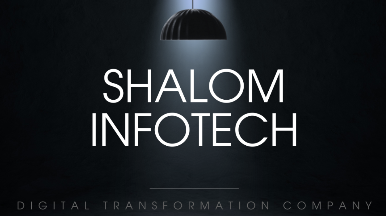 Shalom Infotech IT experts working together
