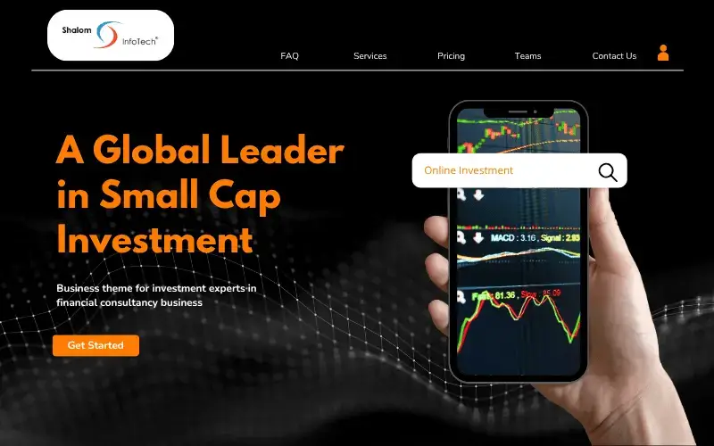 Banking and Financial website development